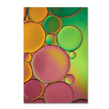 Cora Niele 'Green And Orange Drops' Canvas Art,30x47